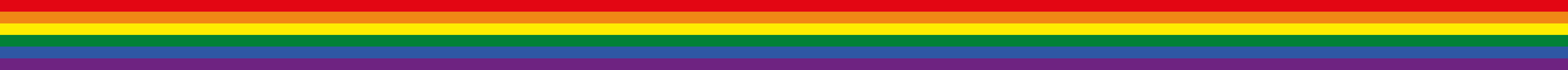 Regenbogenflagge Website